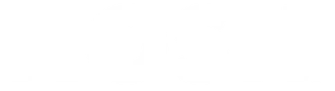 alohasaleus.it.com